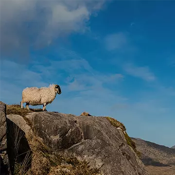 Lee más sobre el artículo ¿Por qué existo? – Parte 3